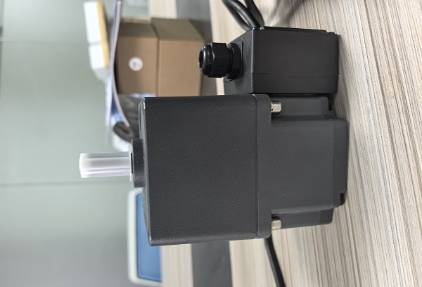 挂面机电机减速机,5IK180RGU/5GU180K微型减速电机.jpg